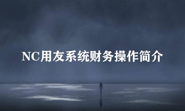 NC用友系统财务操作简介
