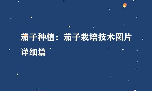 茄子种植：茄子栽培技术图片详细篇