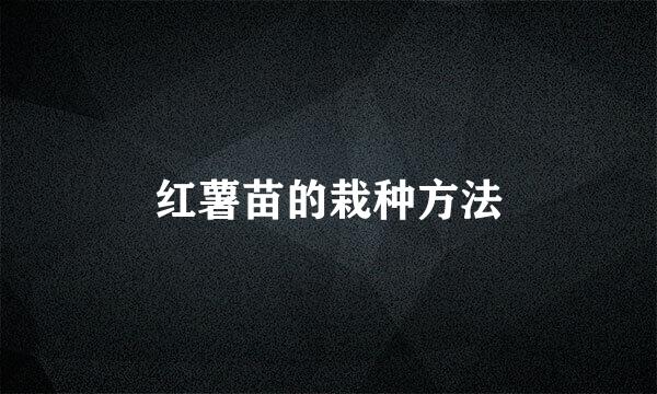 红薯苗的栽种方法