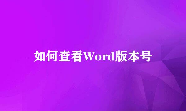 如何查看Word版本号