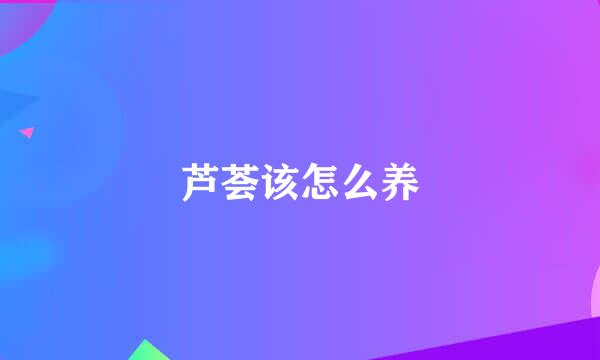 芦荟该怎么养