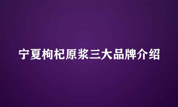 宁夏枸杞原浆三大品牌介绍
