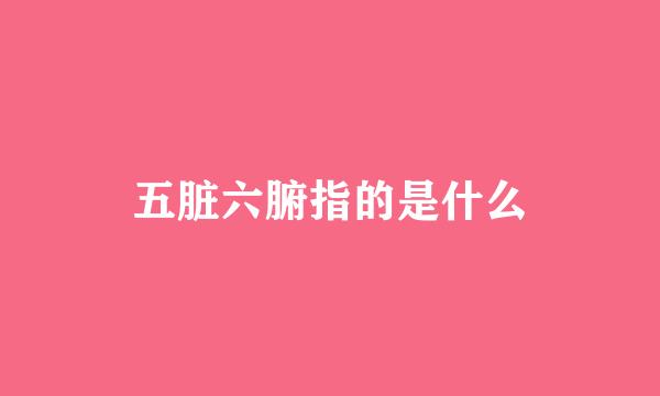 五脏六腑指的是什么
