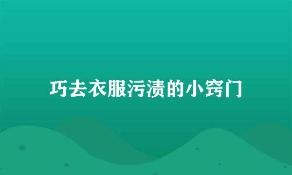 巧去衣服污渍的小窍门
