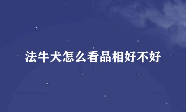 法牛犬怎么看品相好不好