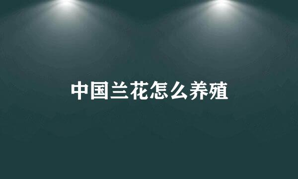 中国兰花怎么养殖