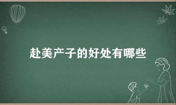 赴美产子的好处有哪些