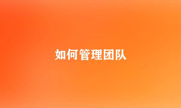 如何管理团队