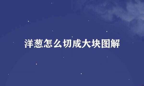 洋葱怎么切成大块图解