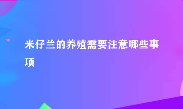 米仔兰的养殖需要注意哪些事项