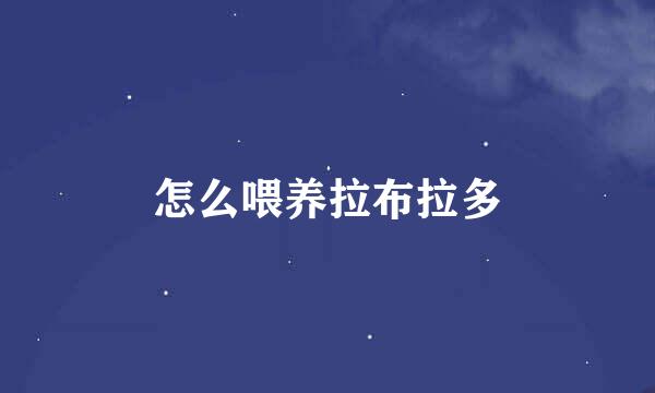怎么喂养拉布拉多