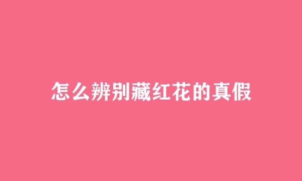 怎么辨别藏红花的真假