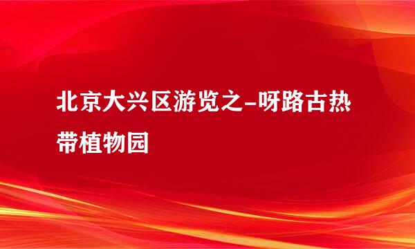 北京大兴区游览之-呀路古热带植物园