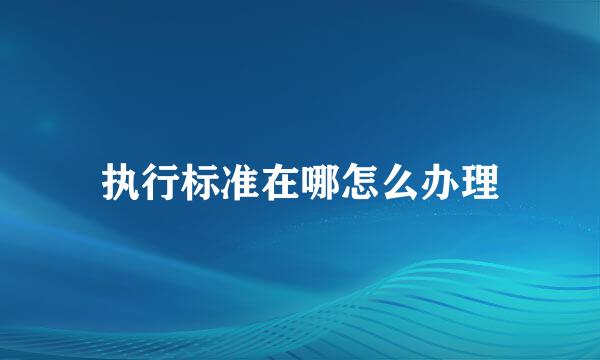 执行标准在哪怎么办理