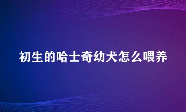 初生的哈士奇幼犬怎么喂养