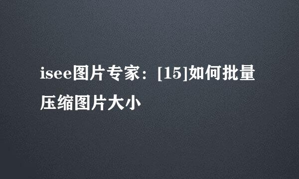 isee图片专家：[15]如何批量压缩图片大小
