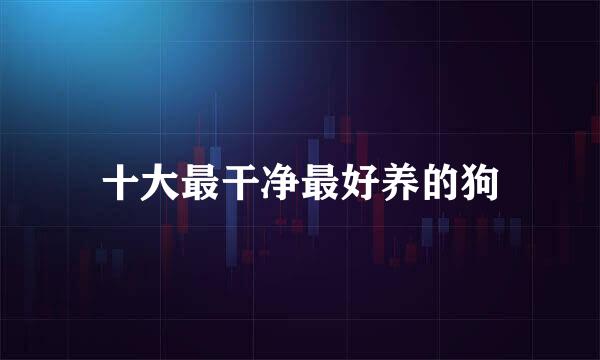 十大最干净最好养的狗