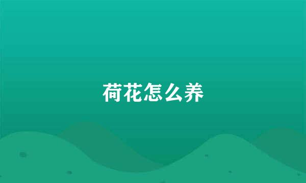 荷花怎么养