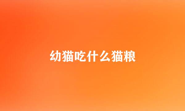 幼猫吃什么猫粮