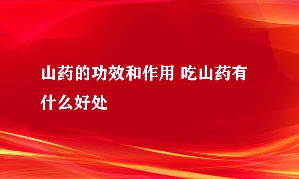 山药的功效和作用 吃山药有什么好处