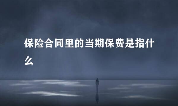 保险合同里的当期保费是指什么