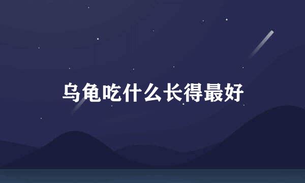 乌龟吃什么长得最好