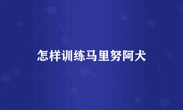 怎样训练马里努阿犬