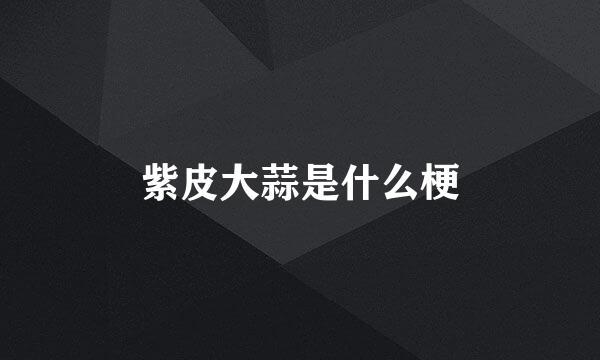 紫皮大蒜是什么梗
