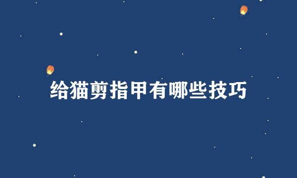 给猫剪指甲有哪些技巧