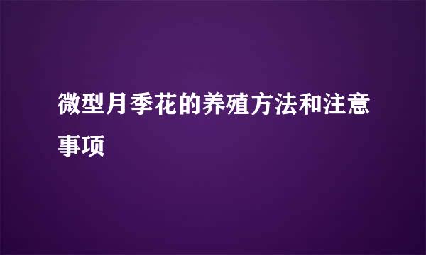 微型月季花的养殖方法和注意事项