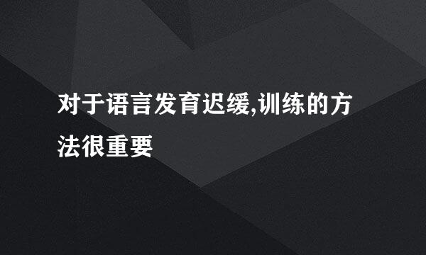 对于语言发育迟缓,训练的方法很重要