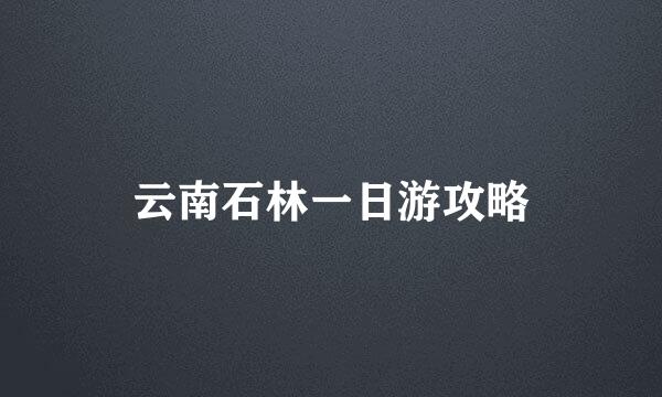 云南石林一日游攻略