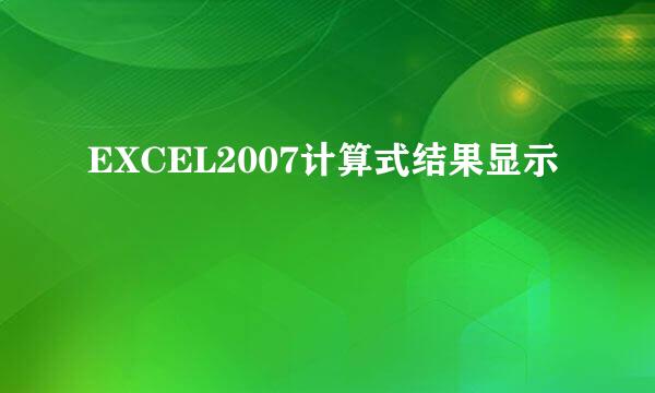 EXCEL2007计算式结果显示