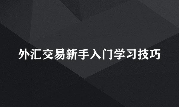 外汇交易新手入门学习技巧