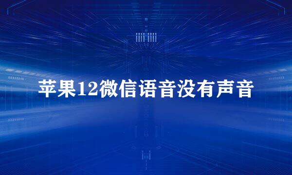 苹果12微信语音没有声音