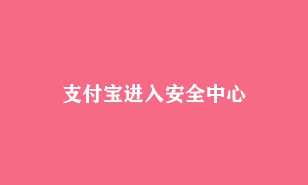 支付宝进入安全中心