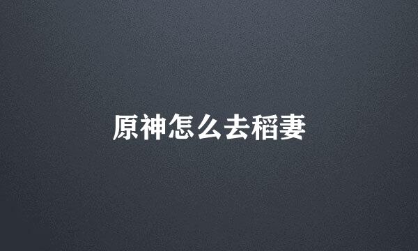 原神怎么去稻妻
