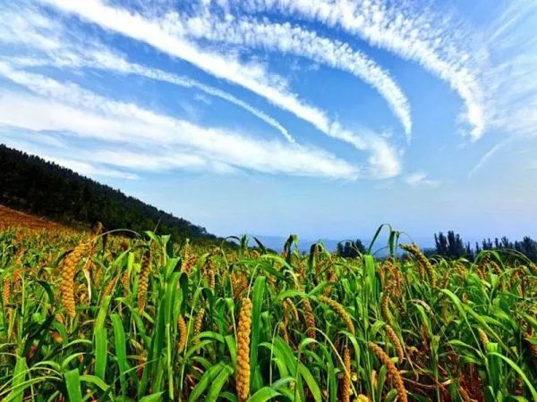谁不说俺家乡好歌词是什么意思?