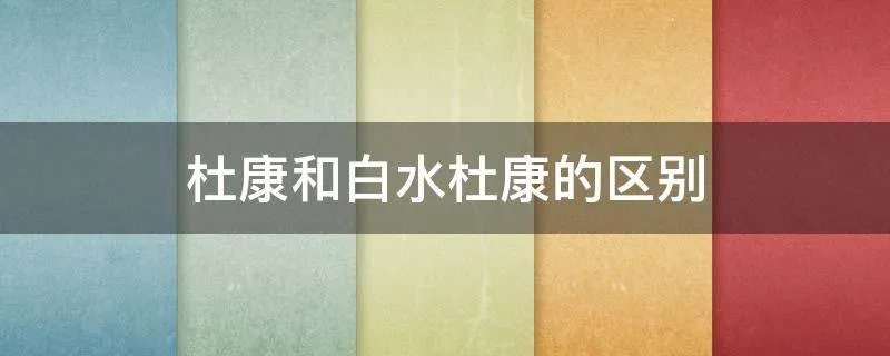 杜康和白水杜康的区别