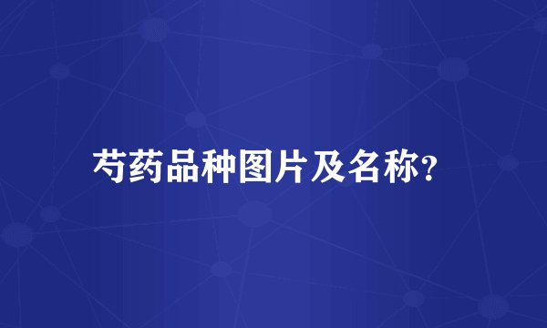 芍药品种图片及名称？