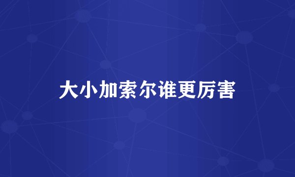 大小加索尔谁更厉害