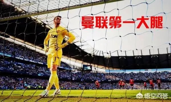 据报道曼联今年夏天转会市场准备再花三个亿,你觉得他们最需要补强的位置是哪里?