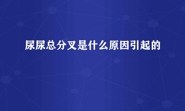 尿尿总分叉是什么原因引起的