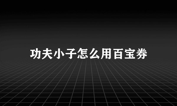功夫小子怎么用百宝券
