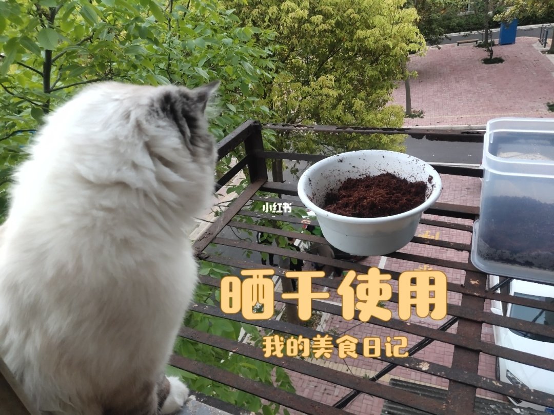 土壤的准备
