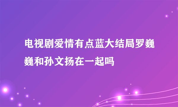 电视剧爱情有点蓝大结局罗巍巍和孙文扬在一起吗