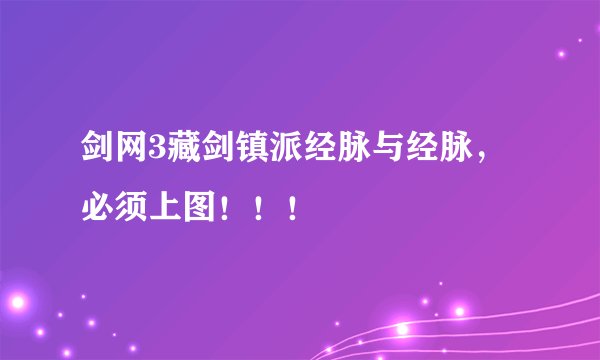 剑网3藏剑镇派经脉与经脉，必须上图！！！