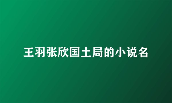 王羽张欣国土局的小说名