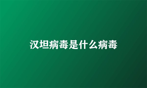 汉坦病毒是什么病毒