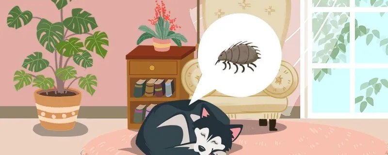 狗被蜱虫咬了会死吗 狗被蜱虫咬能自愈吗